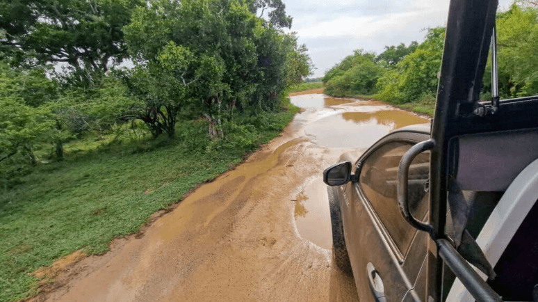 How to get to Yala National Park