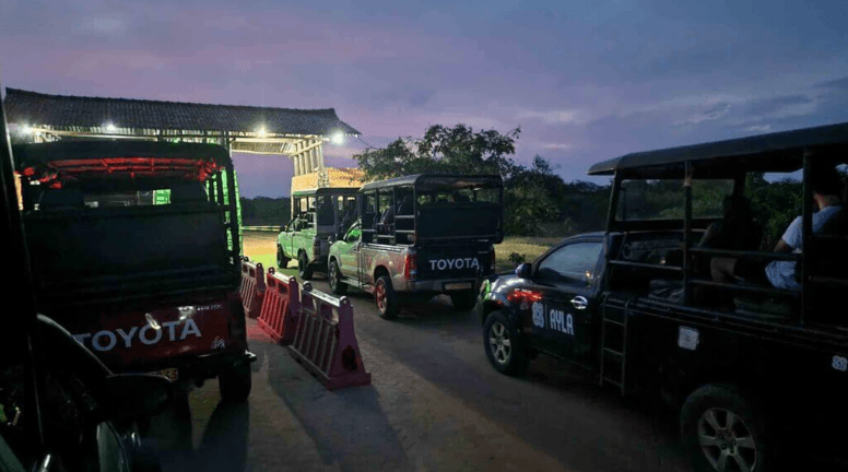 Our Yala Safari Experience