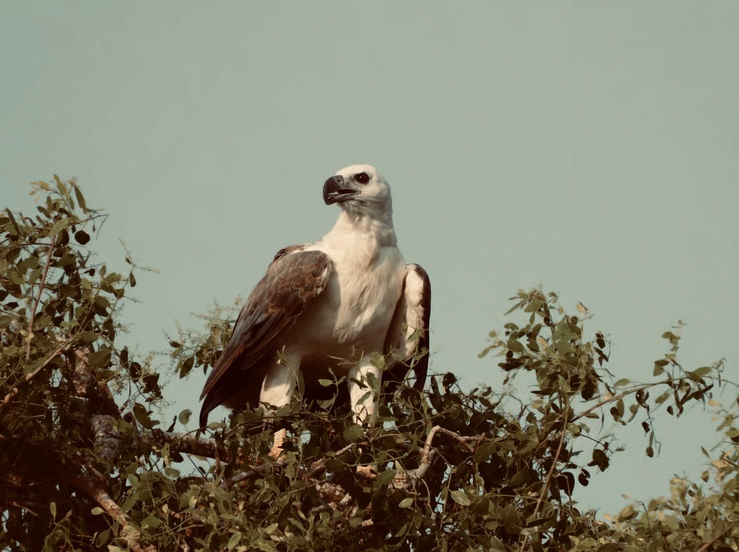 Bundala Full day tour