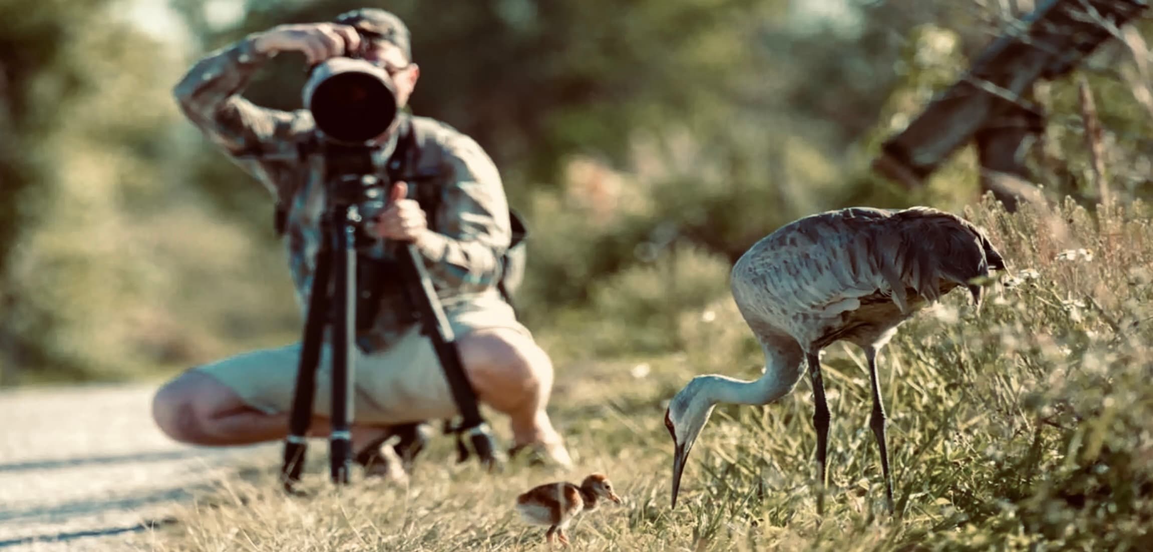 Yala National Park Photography Tour - Yala National Park Blog