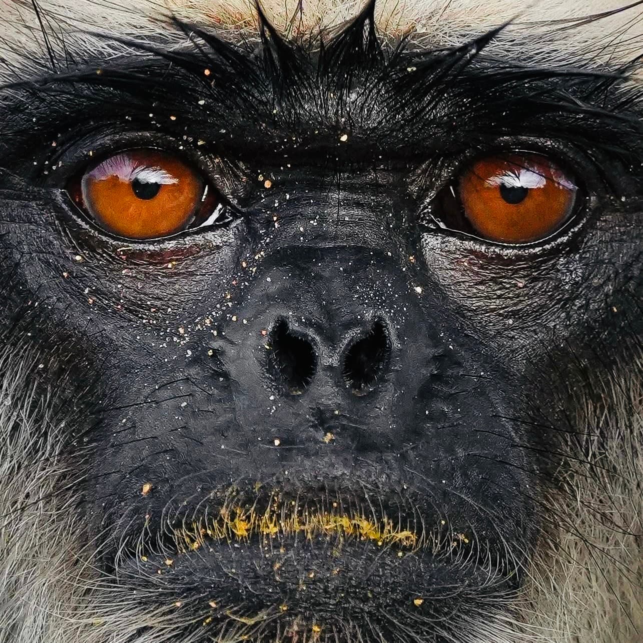 Is Yala National Park Worth It in 2026? Honest Safari Guide for Foreigners - Yala National Park Blog