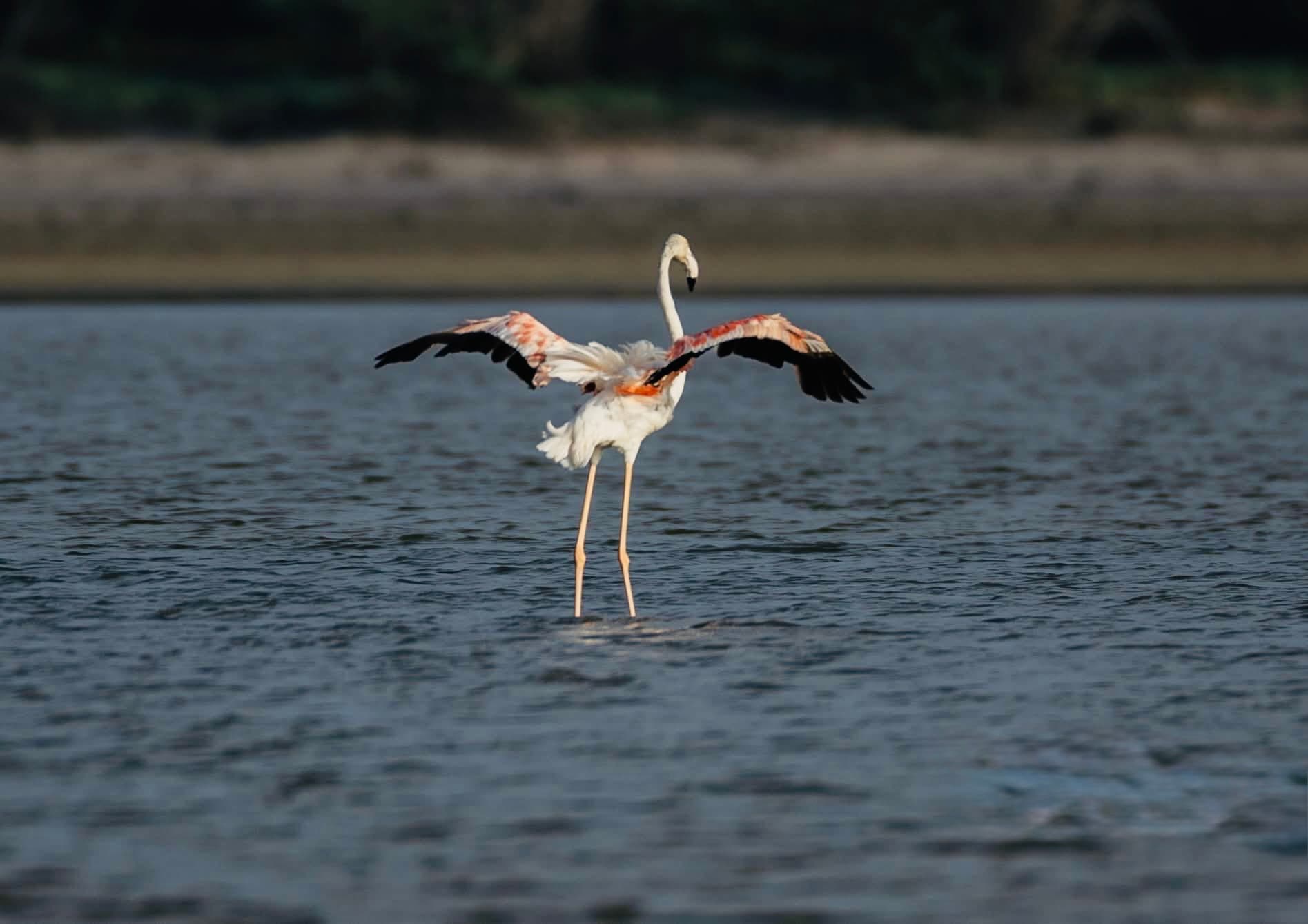 Kandy to Ella Train Guide | Tickets, Best Seats, Schedule & Scenic Views - Yala National Park Blog